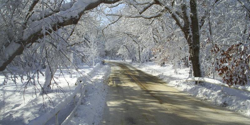 Road in Winter Alex Goethals